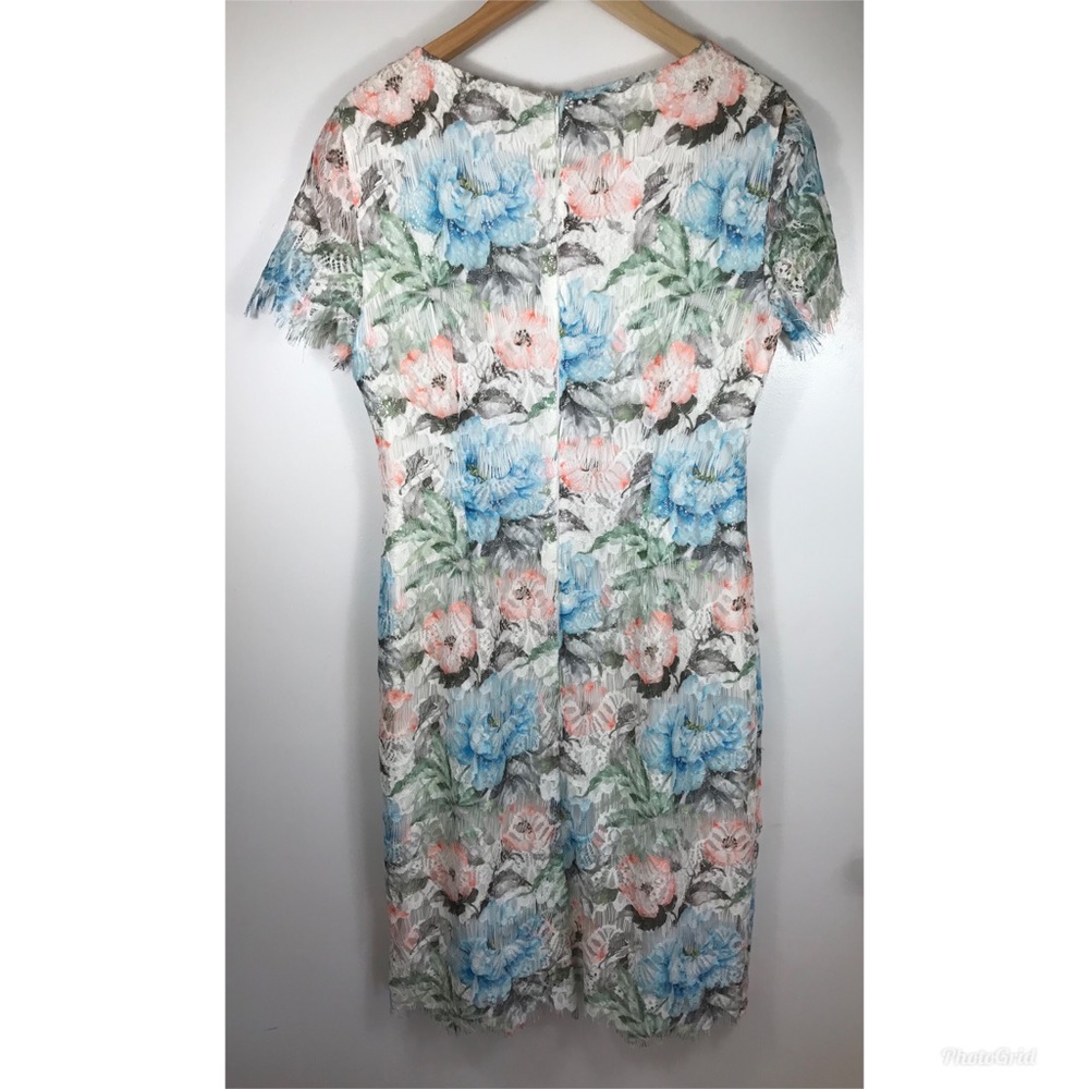 PRESTON & YORK Lace Dress Sz 8 - Picture 3 of 5